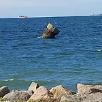 Seeschwalbe Semesterbostad Fehmarn