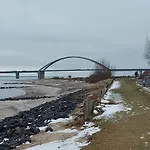 Seeschwalbe *