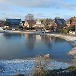Seeschwalbe Fehmarn
