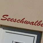 Seeschwalbe Fehmarn