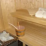 Nyaraló Seeschwalbe *