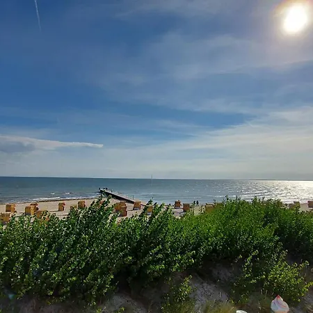 Seeschwalbe Nyaraló