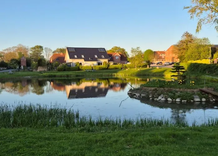 Seeschwalbe * Fehmarn