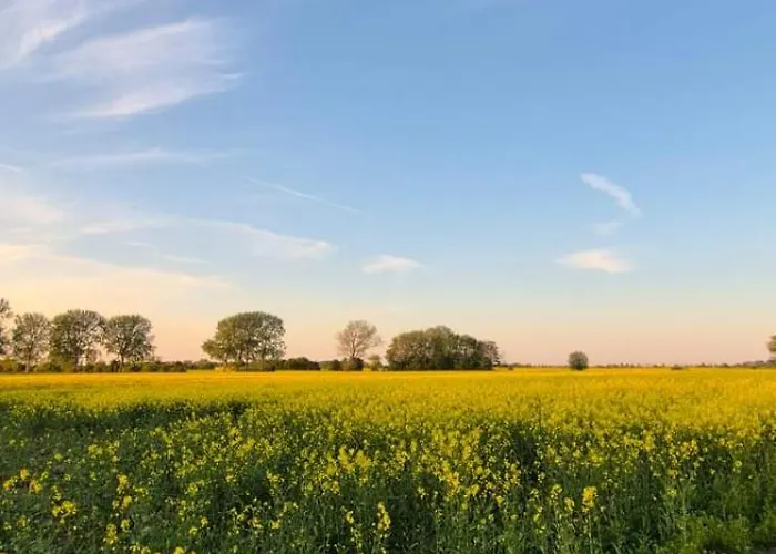 Prázdninový dům Seeschwalbe