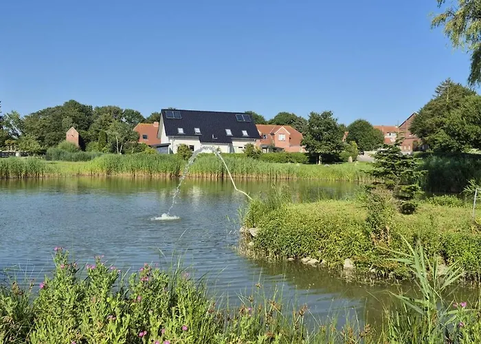 Seeschwalbe * Fehmarn