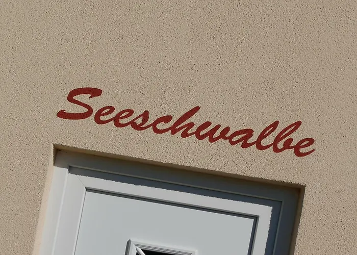 Seeschwalbe Fehmarn
